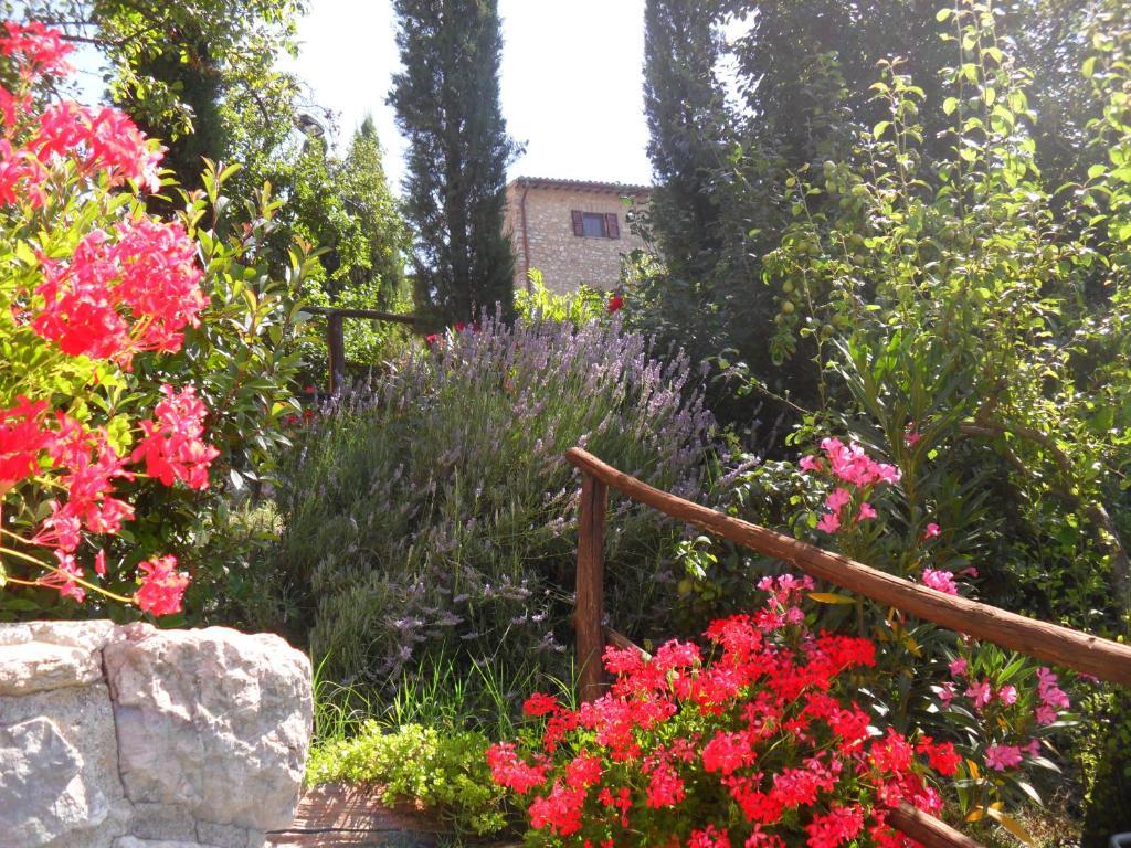 Agriturismo Roccagelli Vallo di Nera Exterior foto