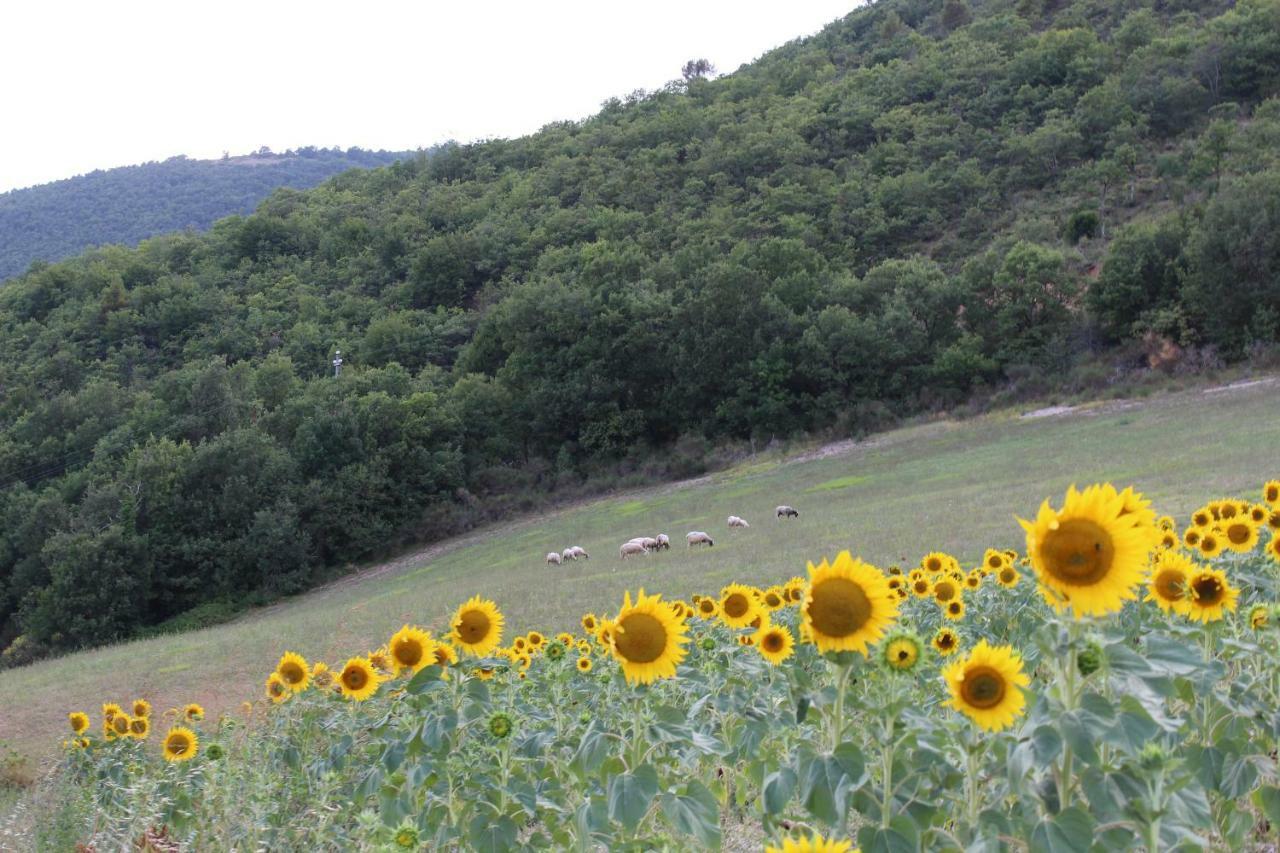 Agriturismo Roccagelli Vallo di Nera Exterior foto